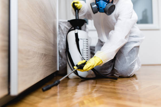 Best Affordable Pest Control Services  in Seabrook, TX