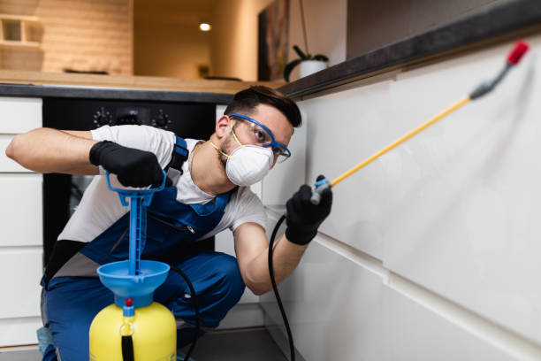 Best Rat Extermination Near Me  in Seabrook, TX