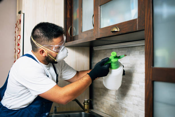 Best Pest Control for Homes  in Seabrook, TX