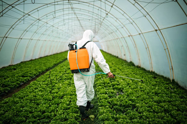 Professional Pest Control in Seabrook, TX
