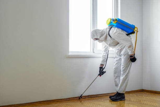 Best Mosquito Control Services  in Seabrook, TX