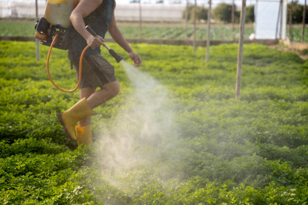 Best Best Pest Control Near Me  in Seabrook, TX