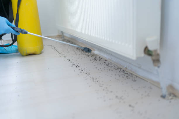 Best Wildlife Control Services  in Seabrook, TX